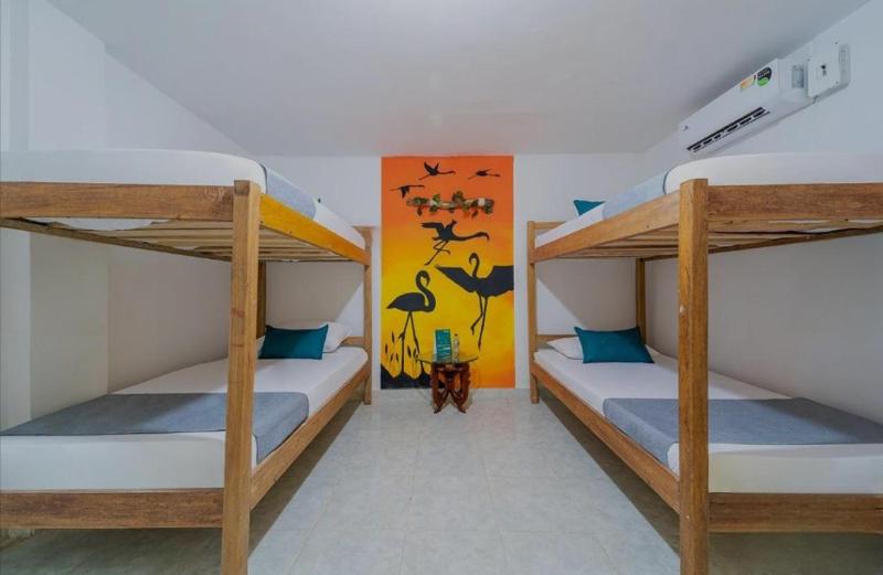 Hostal Casa Tropicalia - image 27