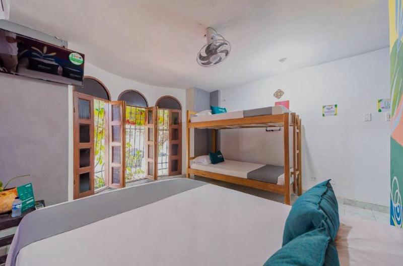 Hostal Casa Tropicalia - image 30