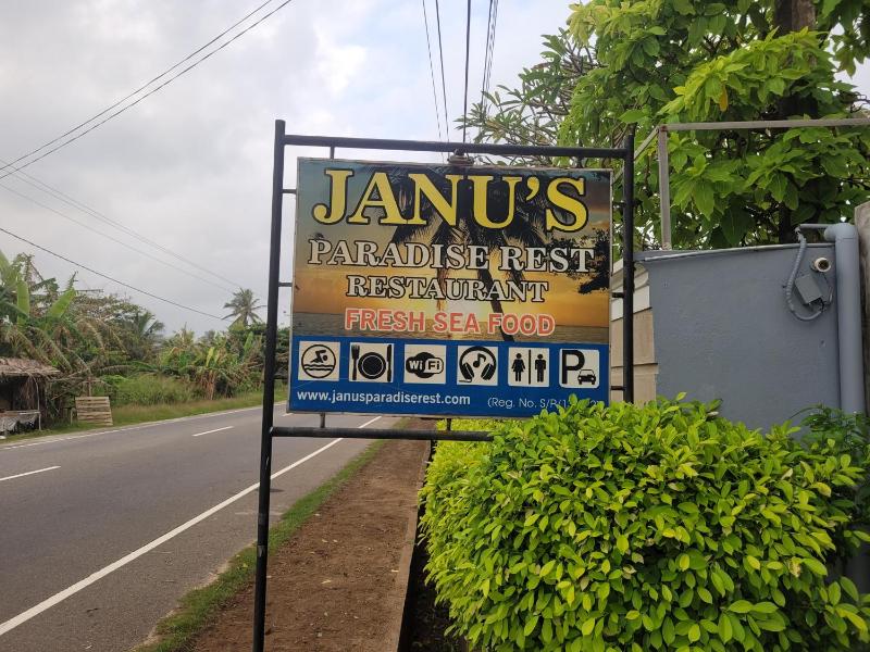 Janus Paradise Rest - image 50