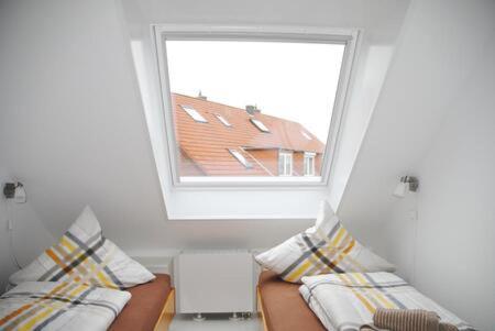 Haus Calma Haus Calma - image 5