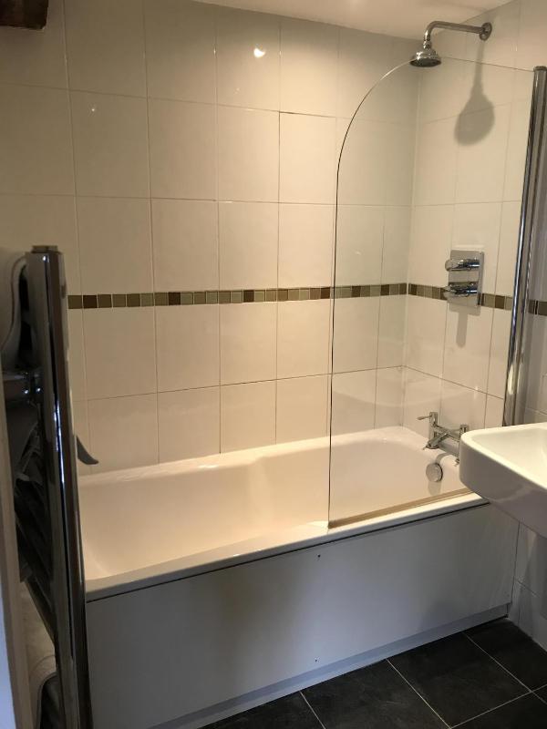 Family Room with Bath image 2