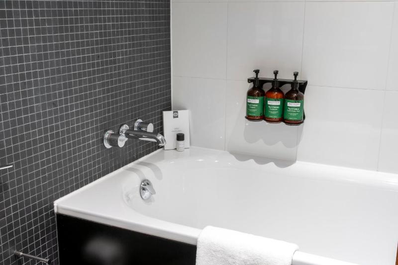 Junior King Suite image 4