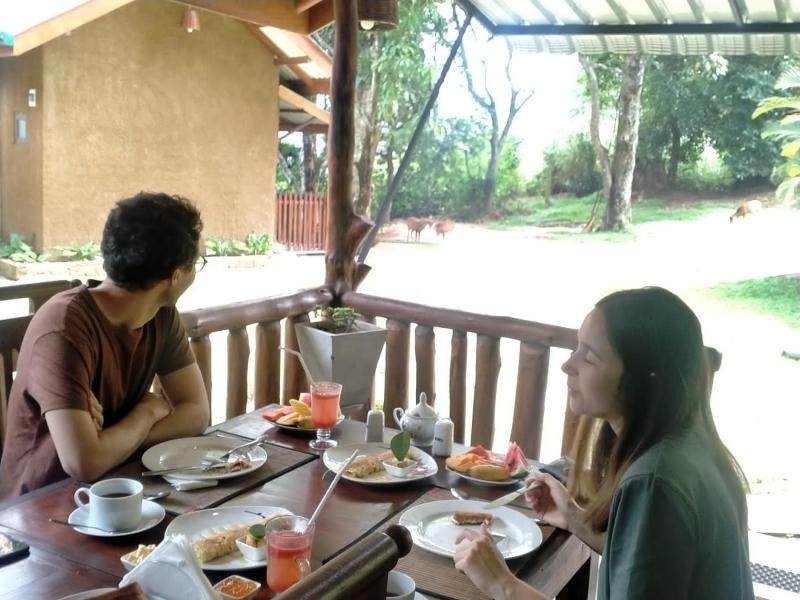 Saffron Eco Cottage - image 12