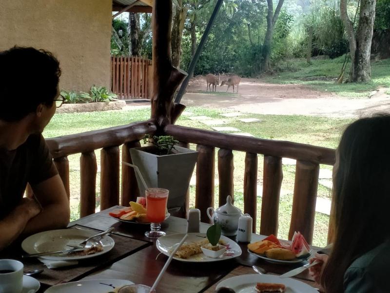 Saffron Eco Cottage - image 17