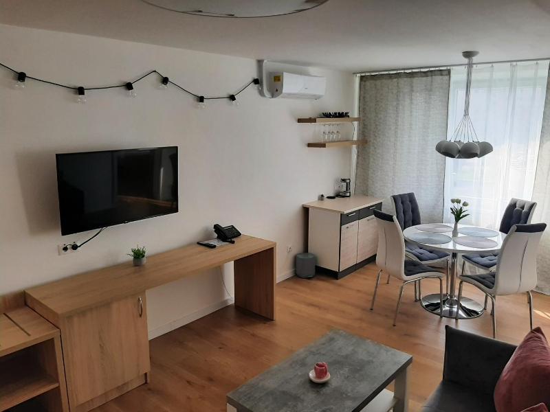 Deluxe Apartment image 1