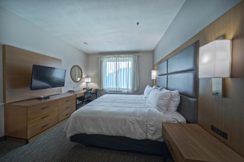King Studio Suite - Non-Smoking image 4