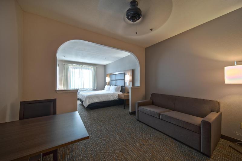 King Studio Suite - Non-Smoking image 3
