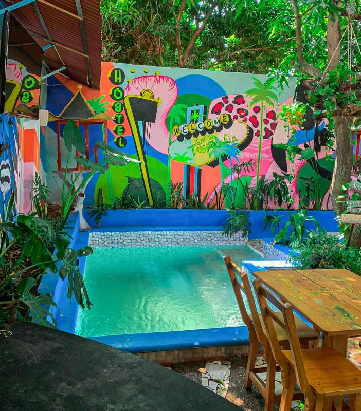 Hostal Casa Tropicalia - image 23