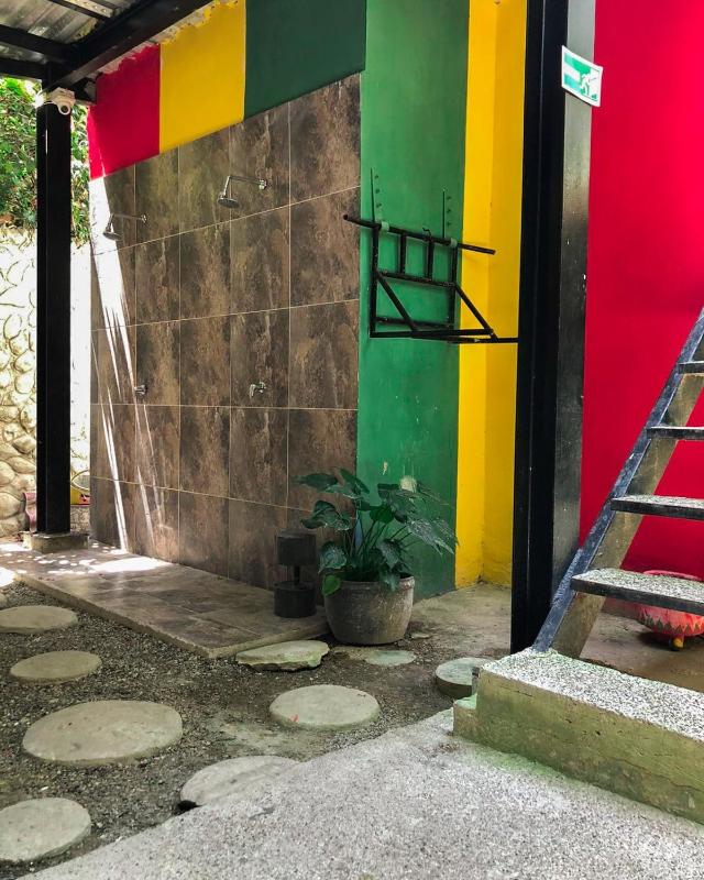 Hostal Casa Tropicalia - image 12