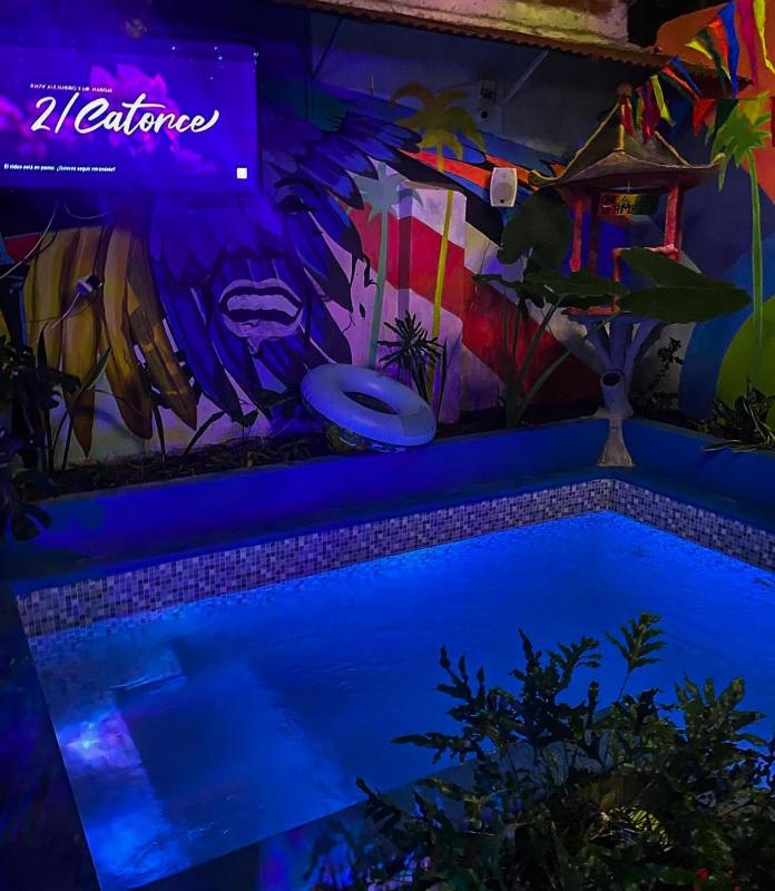Hostal Casa Tropicalia - image 14