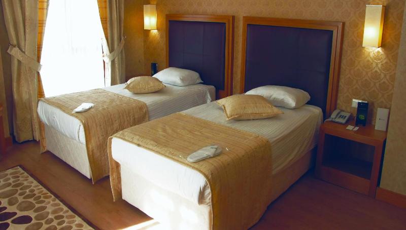 Standard Twin Room image 2