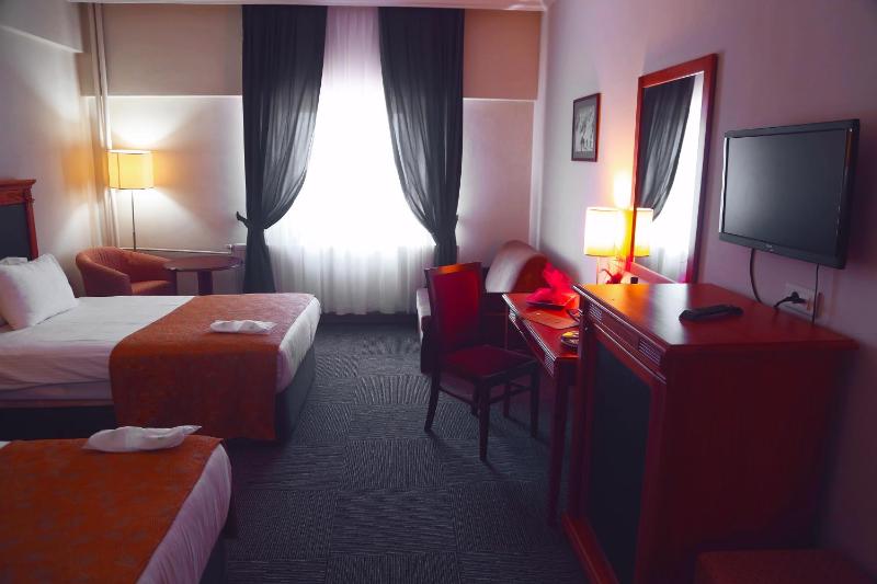 Standard Twin Room image 3