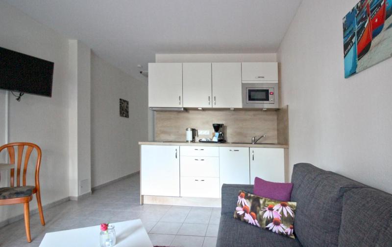One-Bedroom Apartment with Terrace image 1