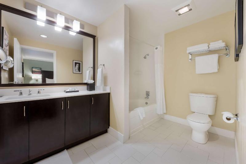 One-Bedroom King Suite with Sofa Bed image 4