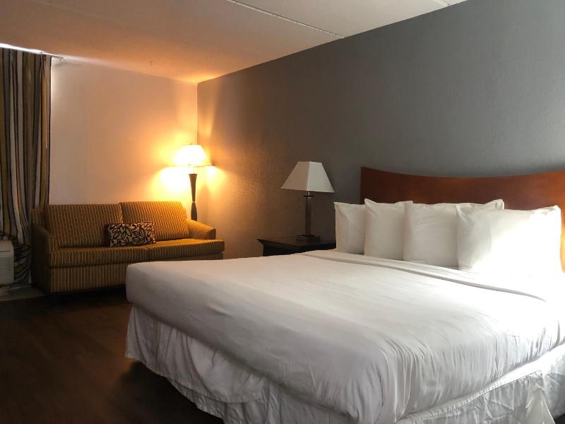 Single Room image 1