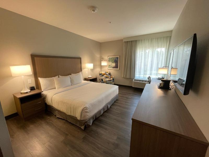 King Room with Mobility/Hearing Access and Bathtub with Garb Bars -  Non- Smoking image 4