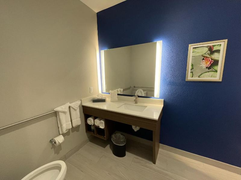 King Room with Mobility/Hearing Access and Bathtub with Garb Bars -  Non- Smoking image 3