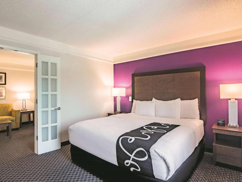 Deluxe King Suite image 3