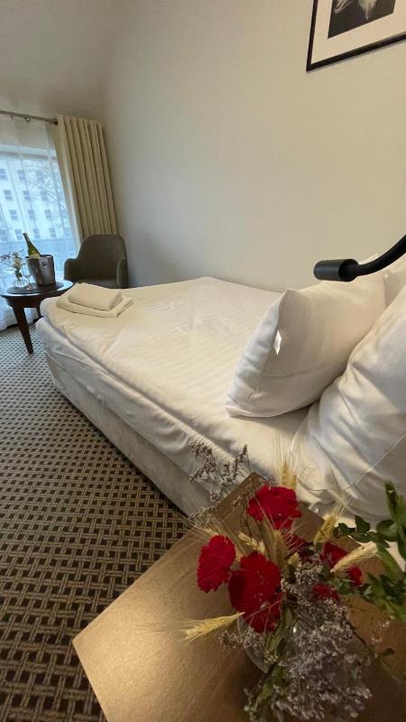Deluxe Single Room image 3