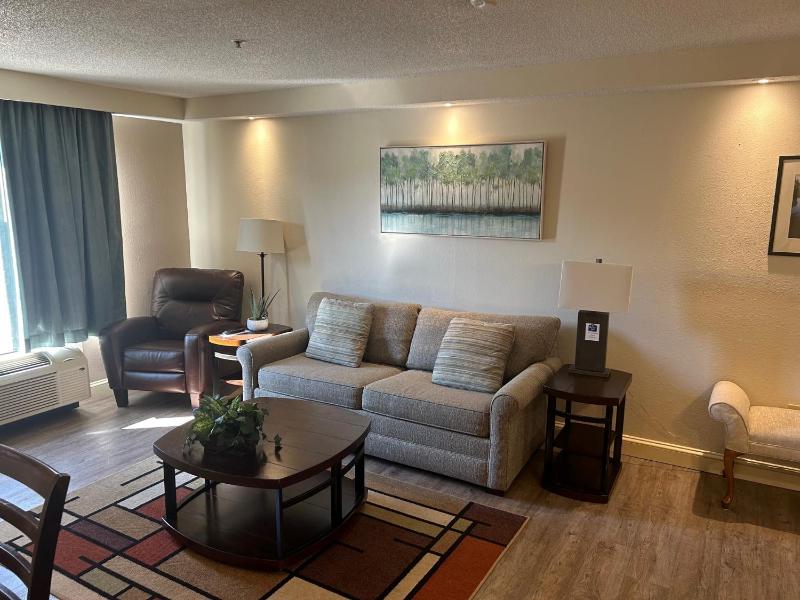 Deluxe Suite image 2