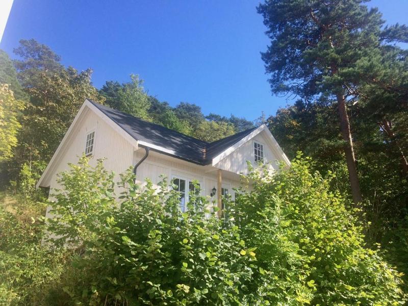 Superior Villa image 4