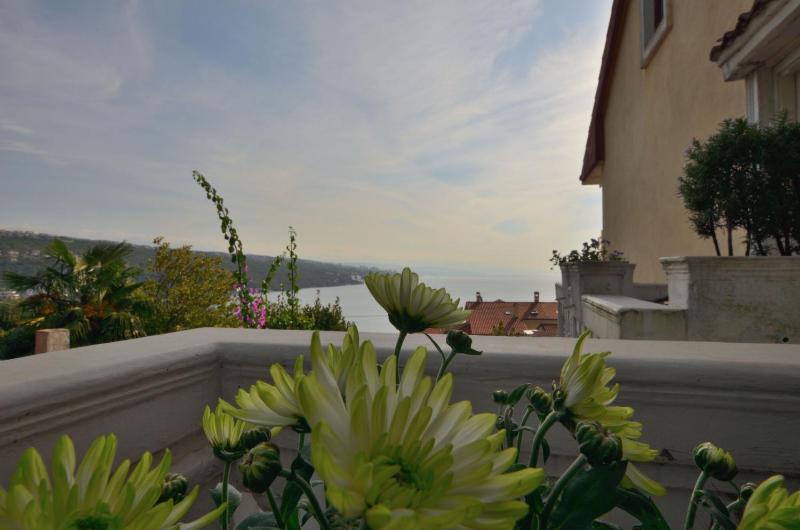 Apartments Vladislav - image 16