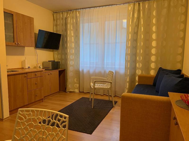 Standard Apartment image 2