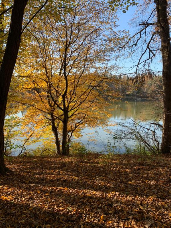 Three-Bedroom House image 2