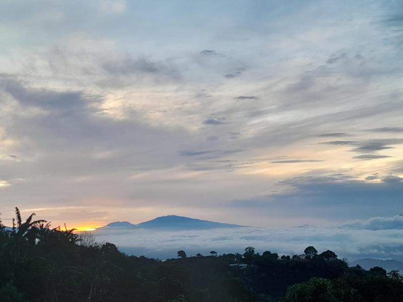 Hospedaje Coffee Mountain - image 6