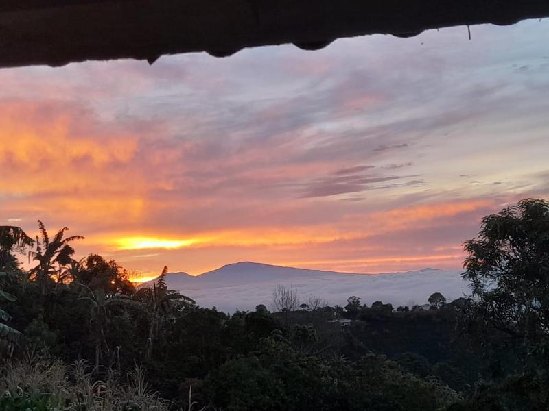 Hospedaje Coffee Mountain - image 14