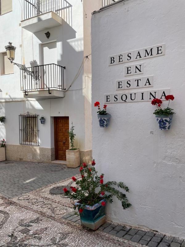 El SOL del SUR - image 23