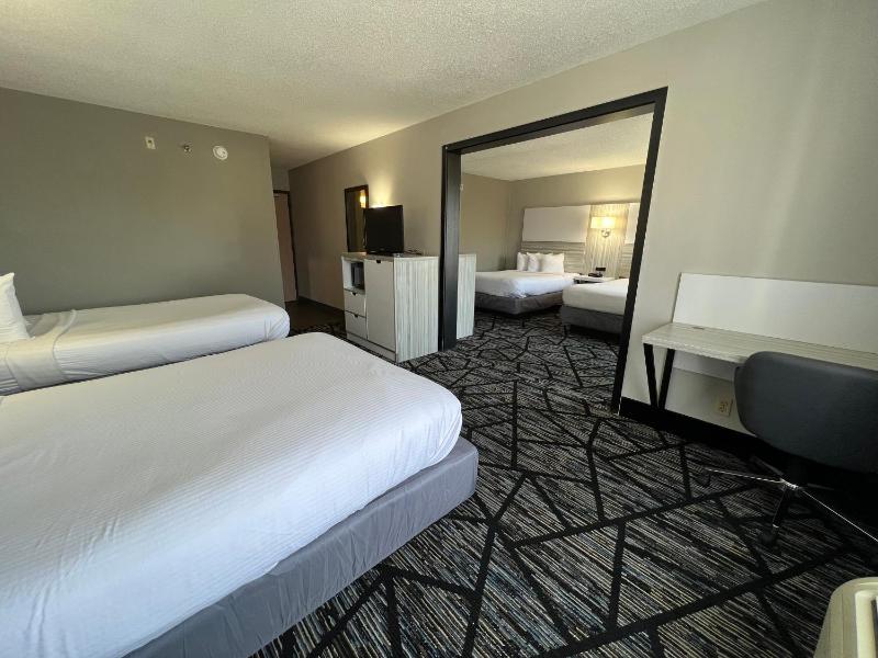 4 Double Beds, Studio Suite, Non-Smoking image 4