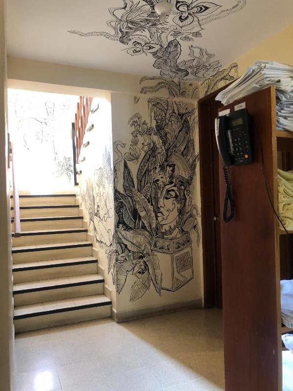 Los Nardos Hostel -pet friendly- - image 14