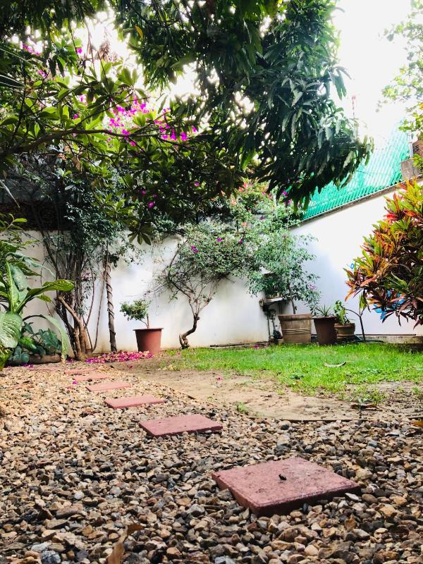 Los Nardos Hostel -pet friendly- - image 10