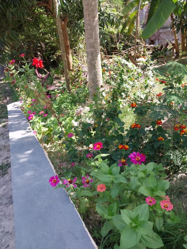 PEACE AND LOVELY HOME LODGE - image 13