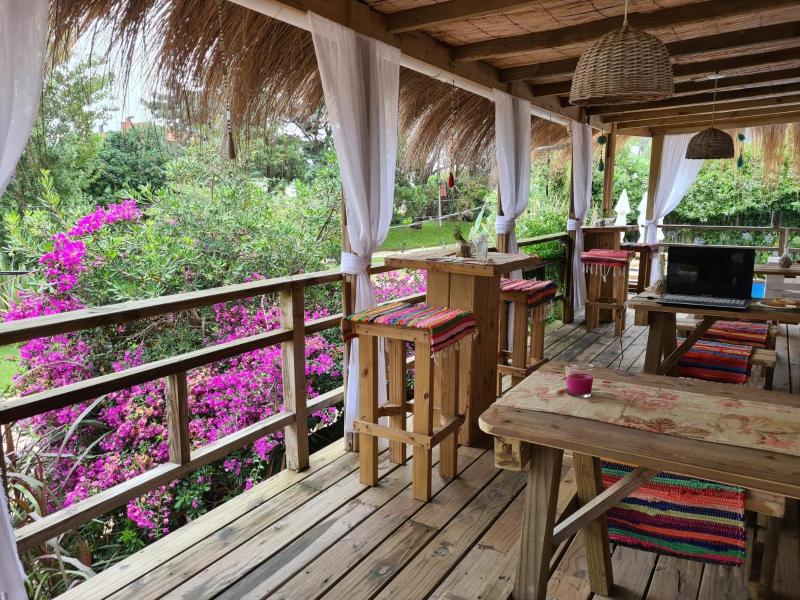 Hotel Boutique La Mexicana Suites & Beach - image 13