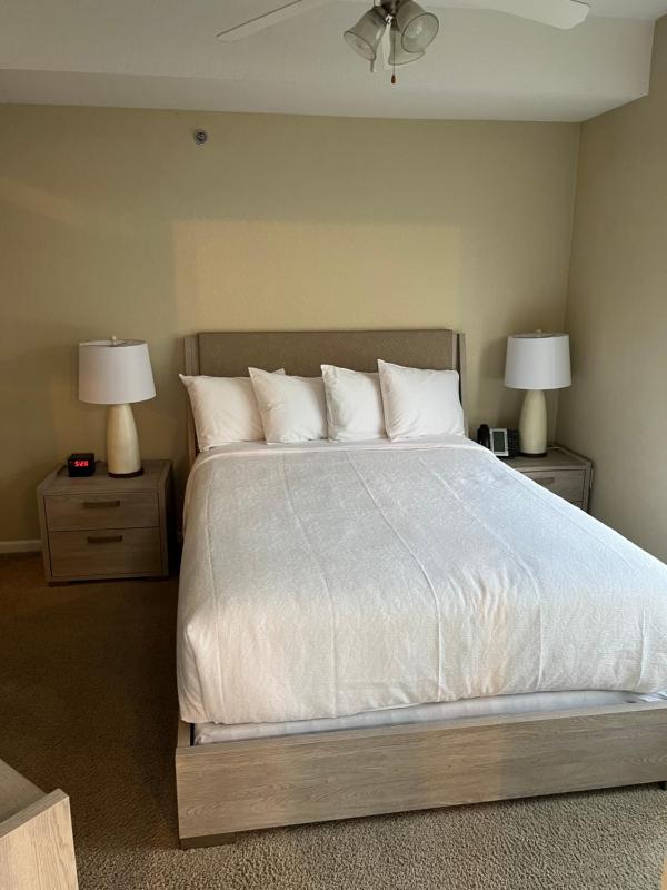 One-Bedroom Apartment image 4