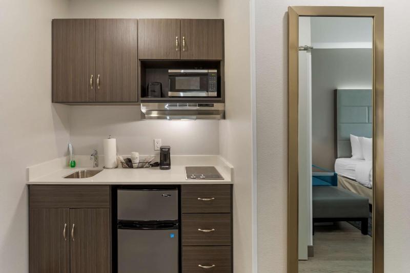 Suite with Larger Room and Kitchenette - Non-Smoking image 4