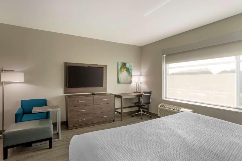 King Suite - Disability Access image 4