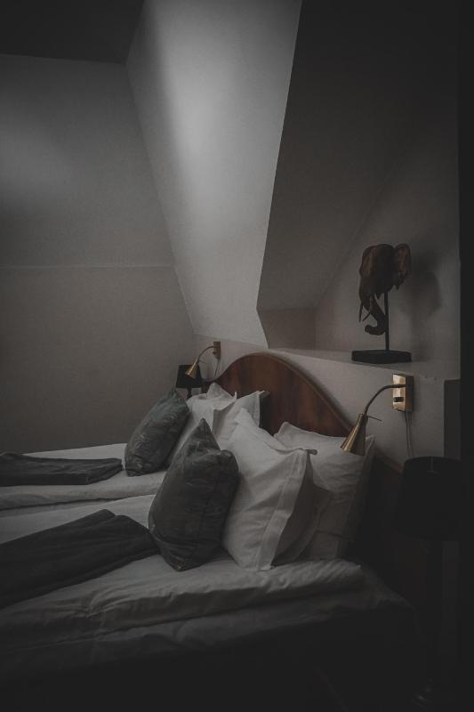 Standard Suite image 1