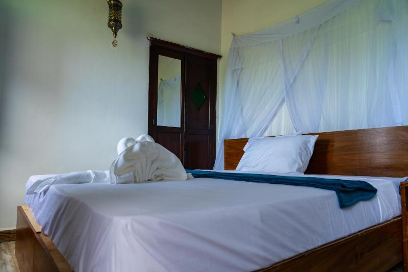 Aurelia Zanzibar - image 13