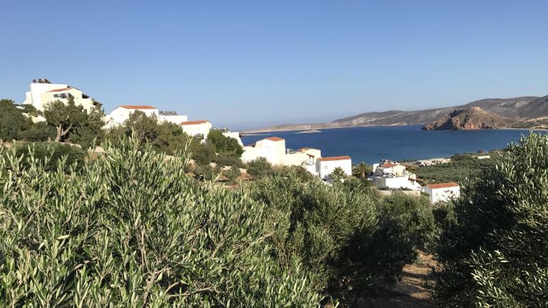 Studios ( 3 Adults) with Side Sea View  image 1