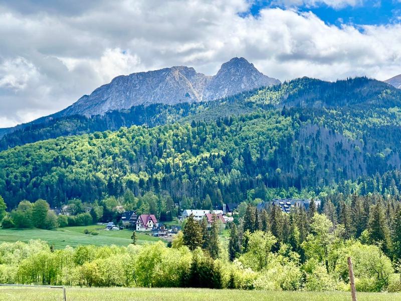 Apartamenty Riders Lodge Kościelisko Chotarz Bór - image 14