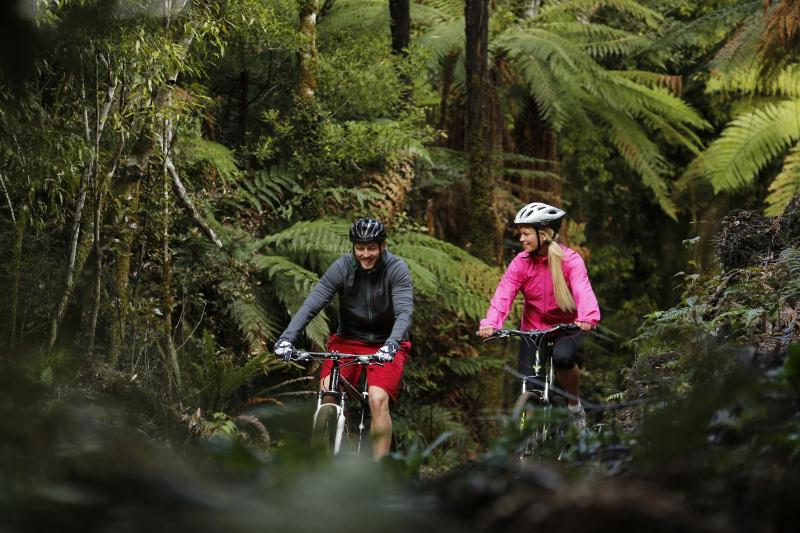 The Flying Trout Boutique Lodge - image 31