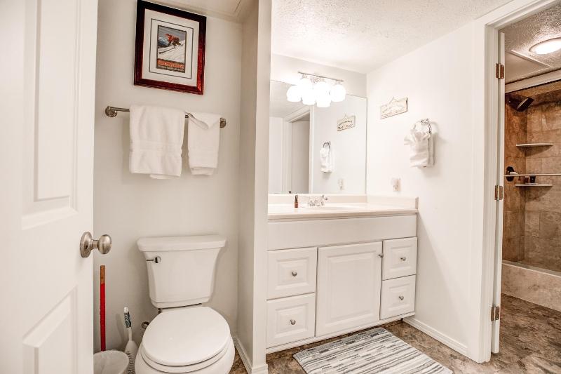 Columbine North Star Condo: Close To Everything - image 34