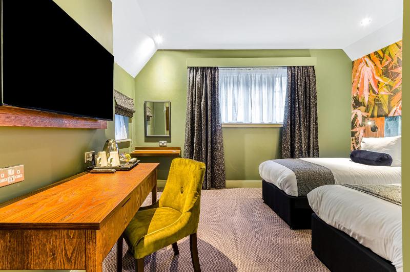 Standard Twin Room image 4