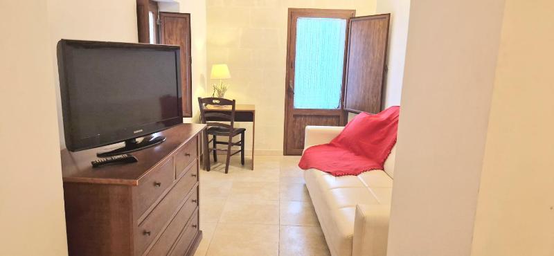One-Bedroom Apartment image 4