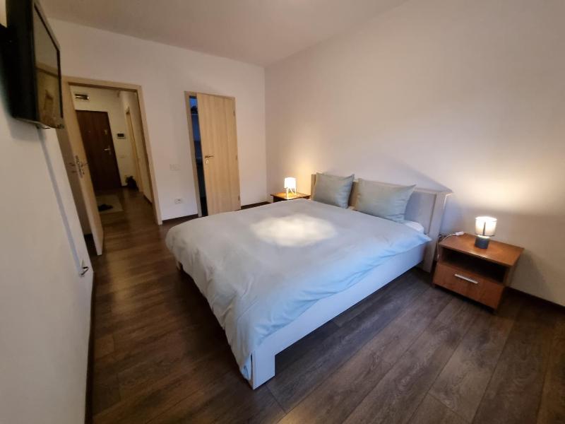 Avram Iancu Private Apartment with AC - image 8