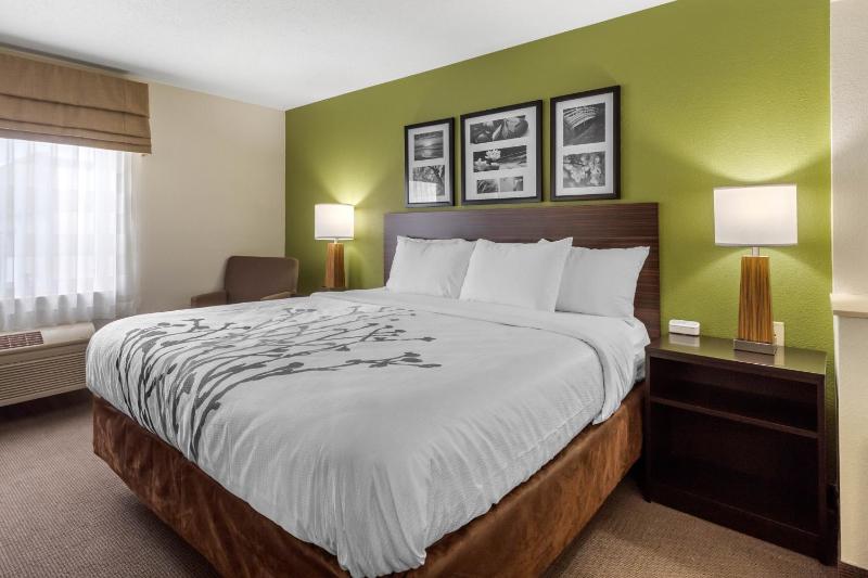 King Suite with Sofa Bed - Non-Smoking image 4