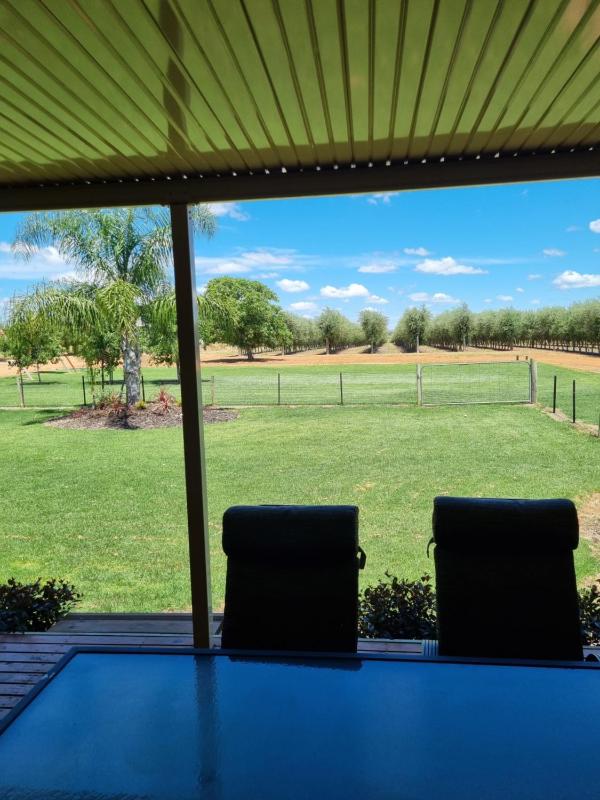Waikerie Olive Grove Images